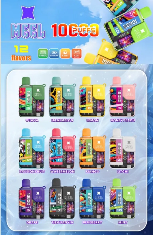拋棄式電子煙 MEEL拋棄式10000口 2025新品 現貨一次性電子煙