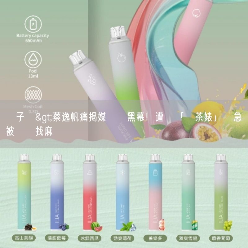 喜八辣電子煙>蔡逸帆痛揭媒體業黑幕！遭傳「綠茶婊」掛急診被飆罵找麻煩